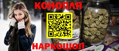 СК Бийск