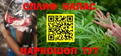 СК Бийск