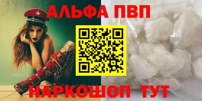 СК Бийск