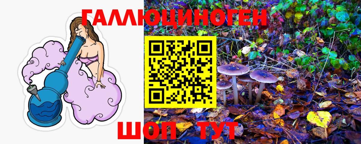 Галлюциногенные грибы MAGIC MUSHROOMS  Вход с VPN  где купить наркоту  Гагарин  Псилоцибиновые грибы MAGIC MUSHROOMS 